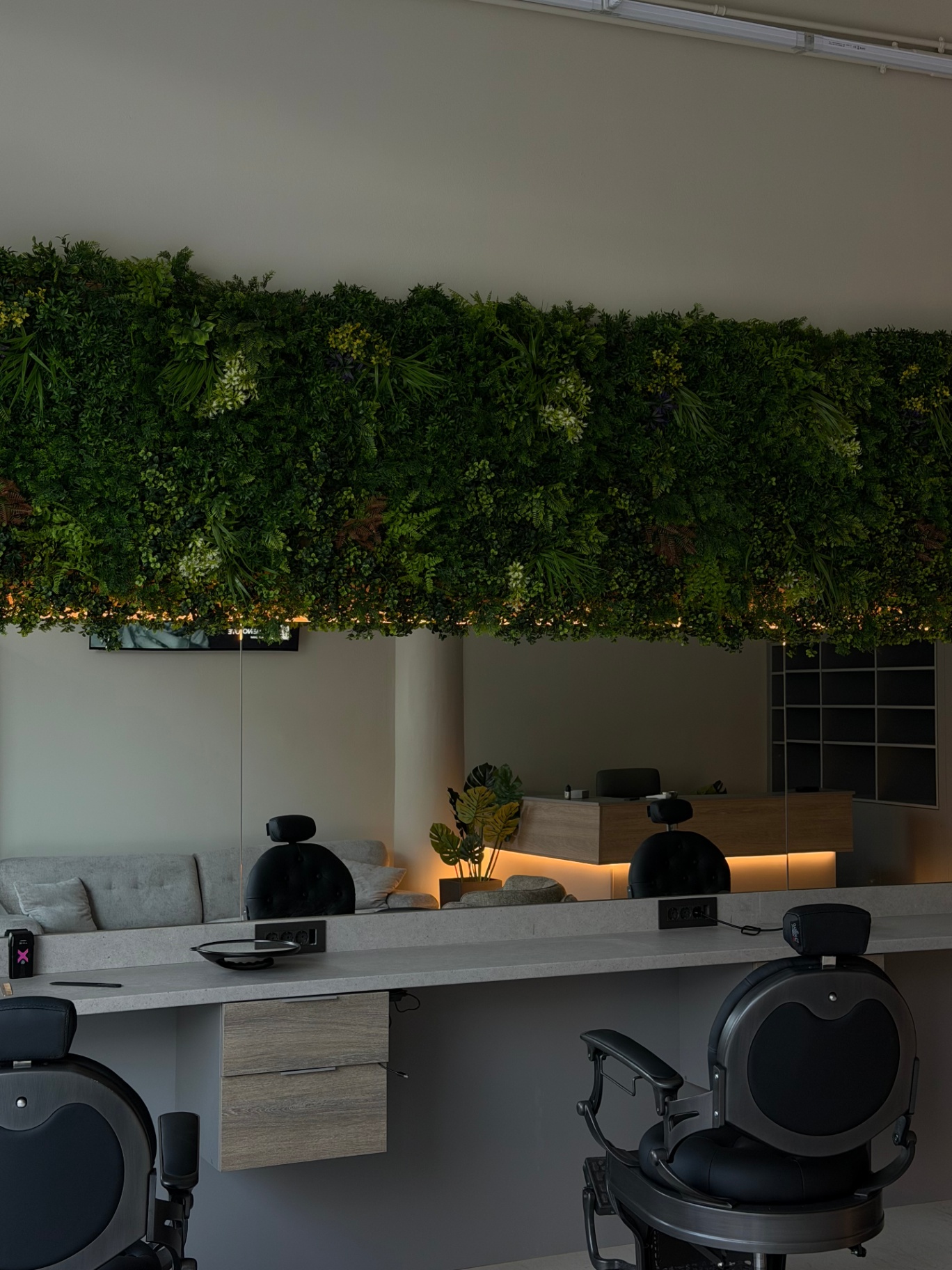 Studio 1 mirror wall with hanging vertical garden